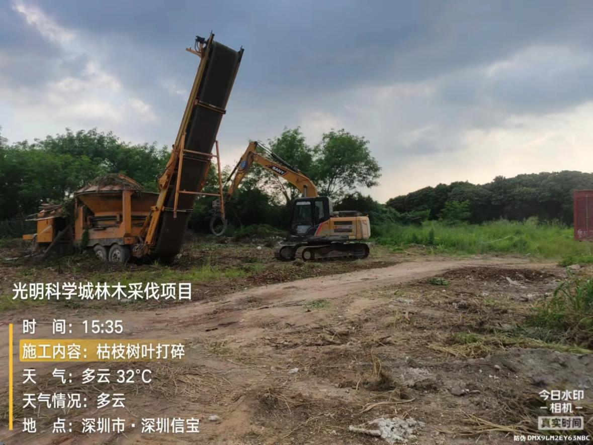 图片5