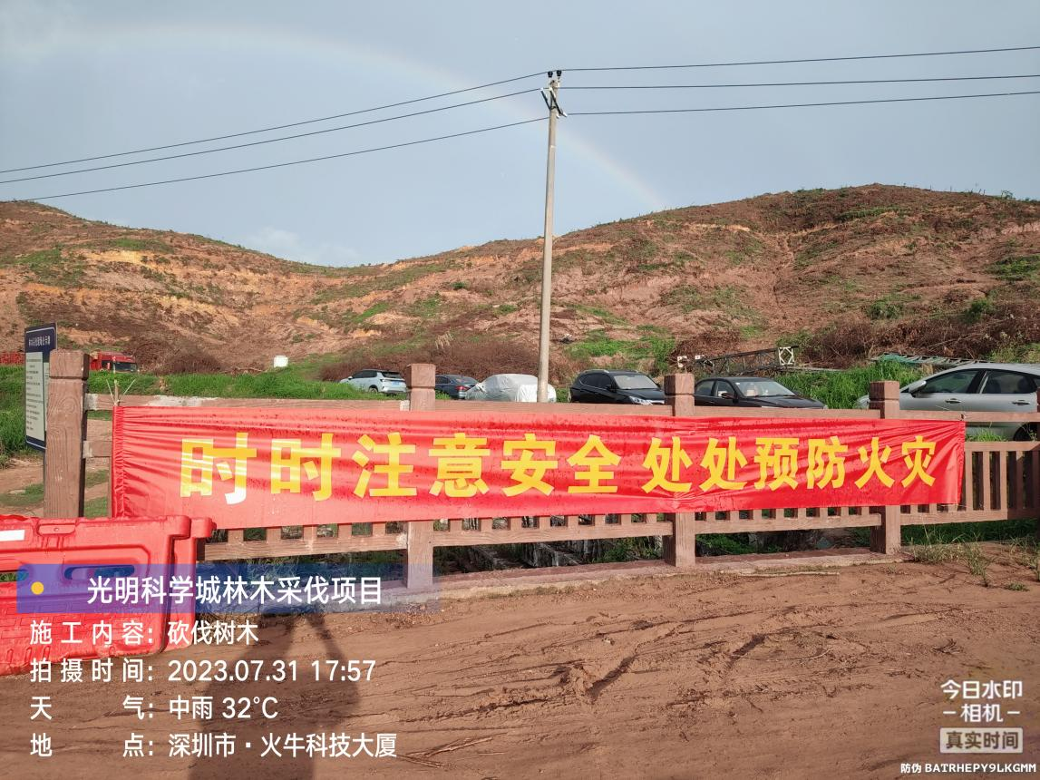图片8